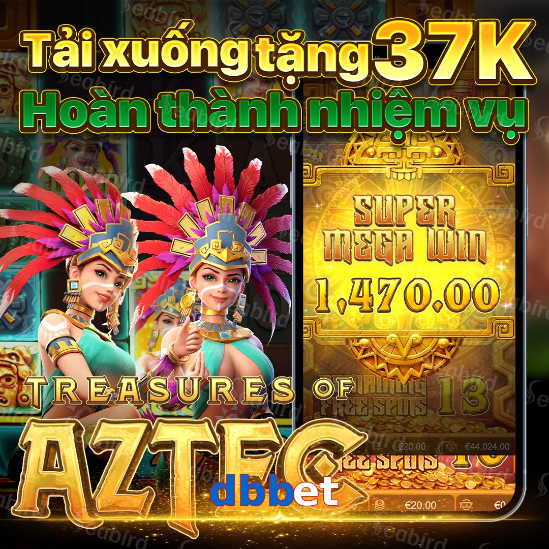 dbbet