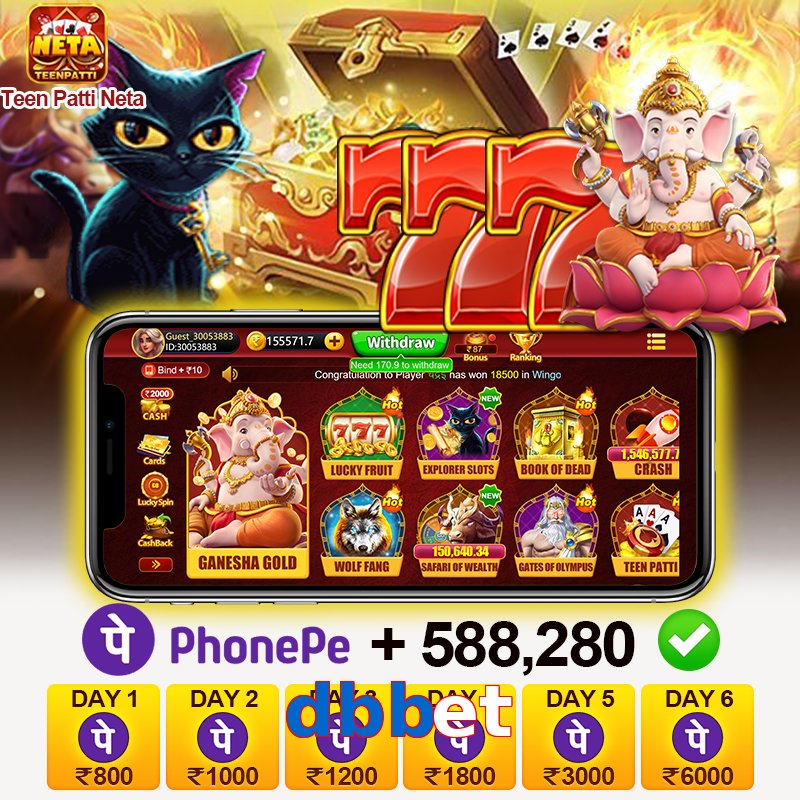 dbbet