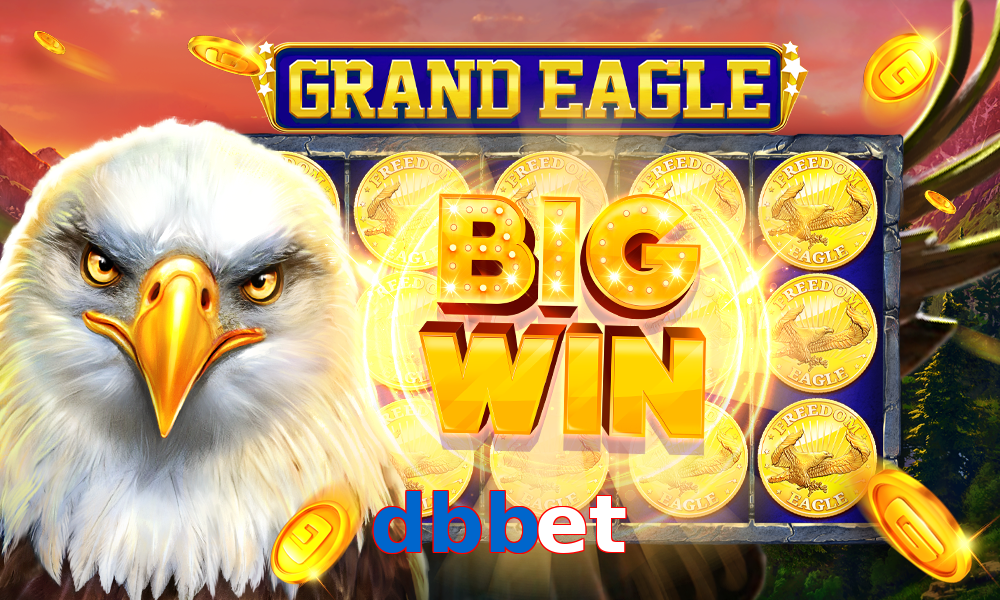 dbbet