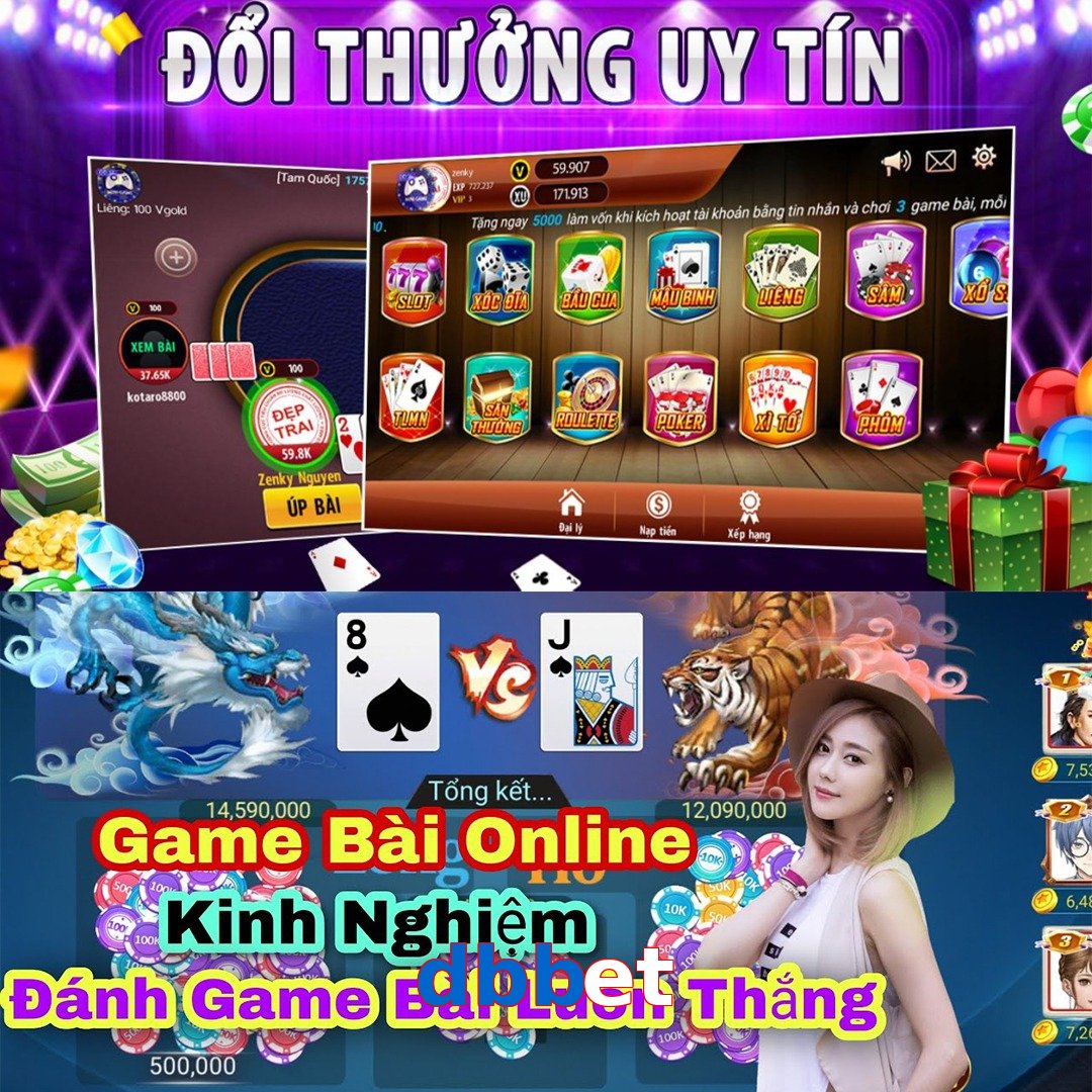 dbbet