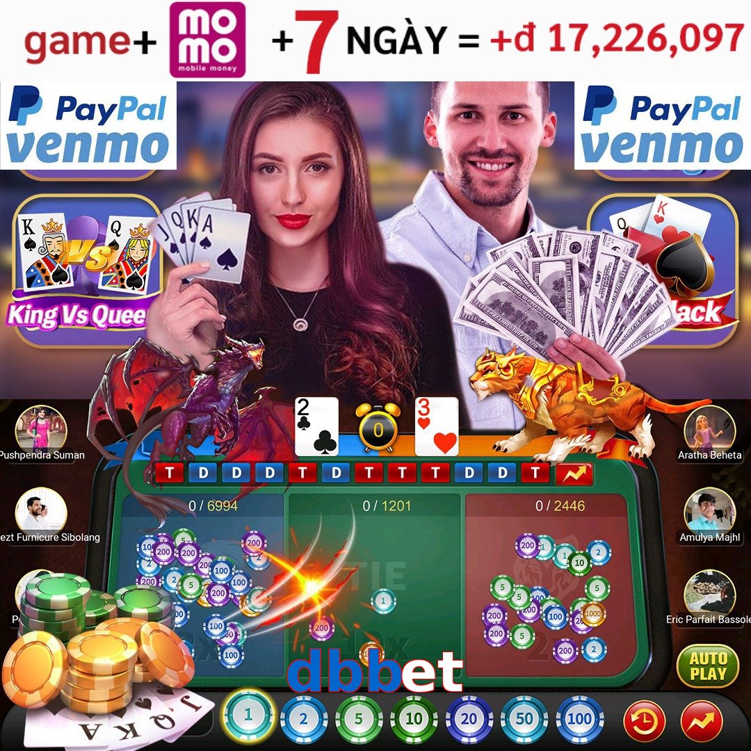 dbbet