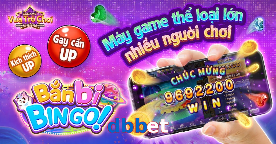 dbbet
