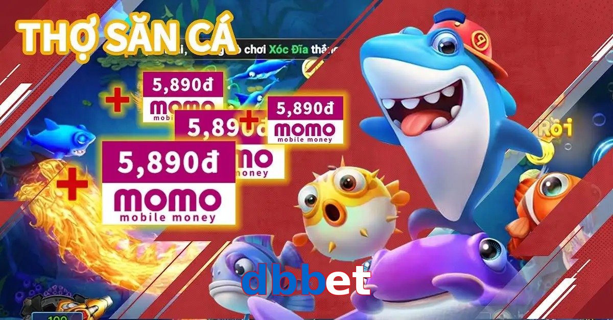 dbbet