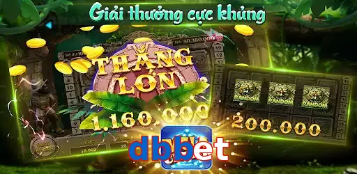 dbbet