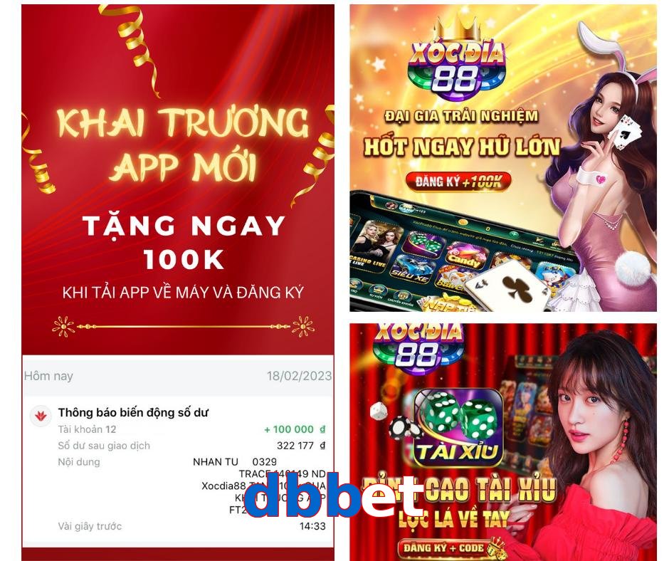 dbbet